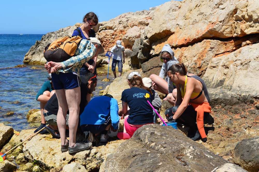 Photo de Sortie découverte du patrimoine naturel de Marseille avec le programme national de sciences participatives BioLit